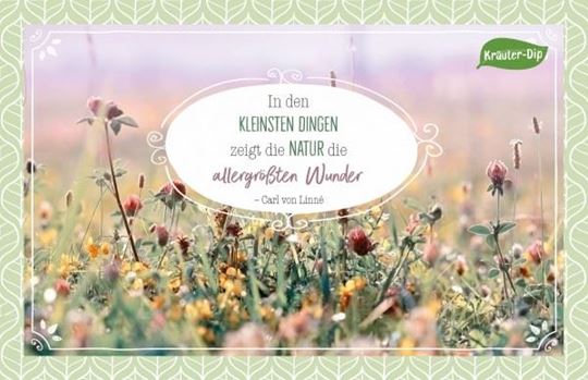 Image sur In den kleinsten Dingen zeigt die Naturdie allergrössten Wunder. Carl von Linné