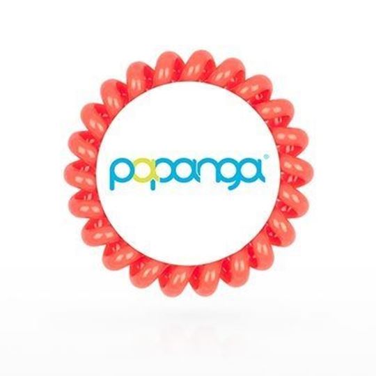 Bild von Papanga Verkaufsbox Coral Big, VE10