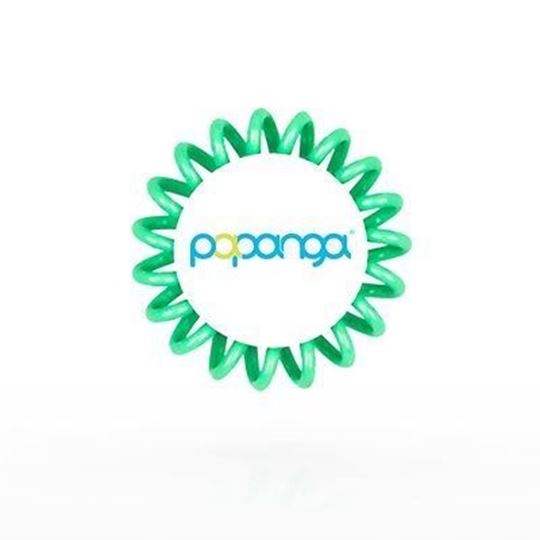 Bild von Papanga Verkaufsbox Mint Green Small, VE10