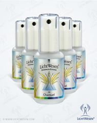 Bild von LichtWesen Engelessenzen Set Tinktursprays, 9x30ml