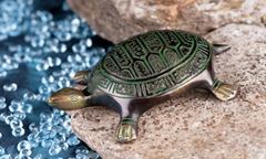 Image de Schildkröte klein, 10,5 cm