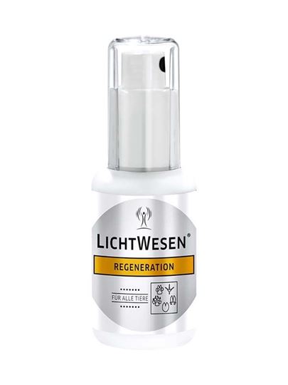 Bild von LichtWesen Regeneration für alle Tiere, 10 ml