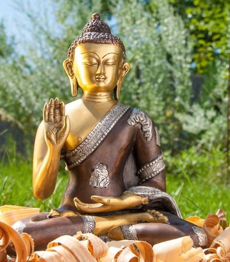 Bild von Amogasiddhi Buddha sitzend, 3 farbig