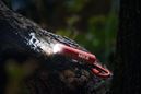 Immagine di Expedition Natur Zoom Taschenlampe, VE-8