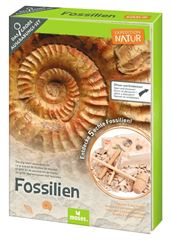 Image de Expedition Natur Das grosse Fossilien-Ausgrabungs-Set, VE-2
