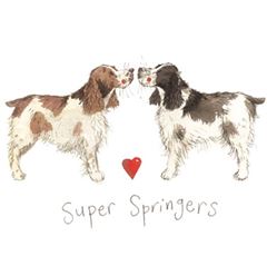 Bild von SUPER SPRINGERS