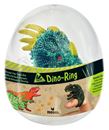 Image sur Dino-Ring, VE-24