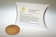 Image de Handschmeichler Haselnuss mit Baumhoroskop von baumstark