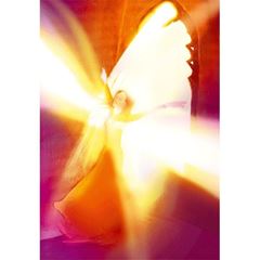 Bild von Leinwandbild Grosses Herz
