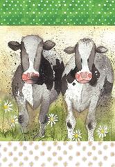 Picture of CURIOUS COWS