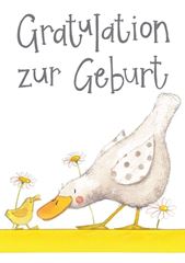 Bild von NEW ARRIVAL