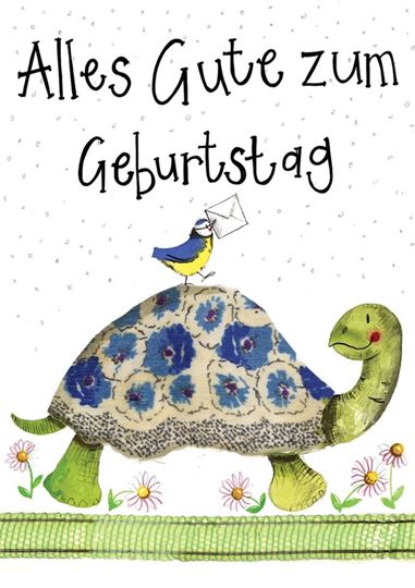 Bild von TURTLE