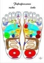 Image de Füsse A4 - Reflexzonenübersicht Lehrtafel