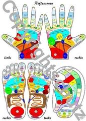 Bild von Füsse, Hände und Ohr A4 - Reflexzonenübersicht Lehrtafel