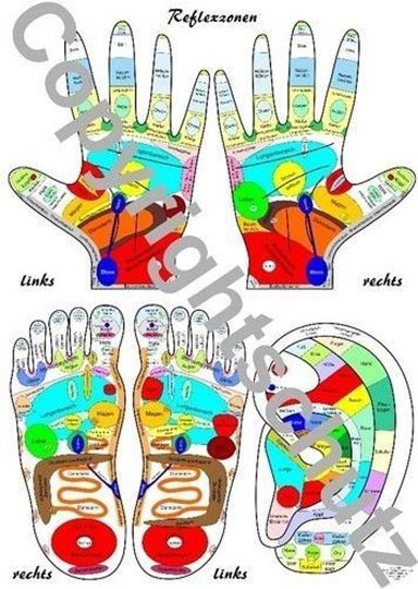 Bild von Füsse, Hände und Ohr A4 - Reflexzonenübersicht Lehrtafel