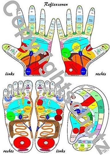 Image sur Füsse, Hände und Ohr A3 - Reflexzonenübersicht Lehrtafel