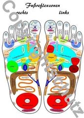Image de Füsse A5 - Reflexzonenübersicht Lehrtafel