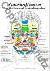 Immagine di Gesicht A4 - Reflexzonenübersicht Lehrtafel