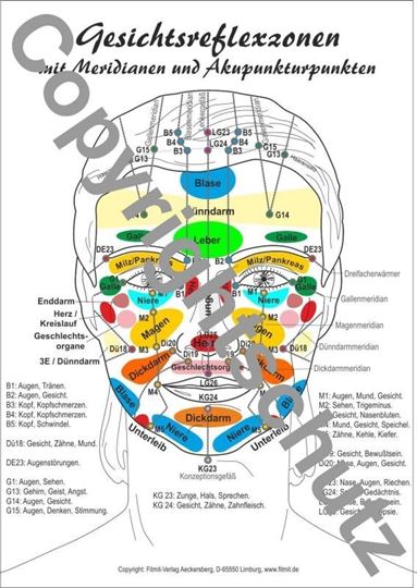 Immagine di Gesicht A3 - Reflexzonenübersicht Lehrtafel