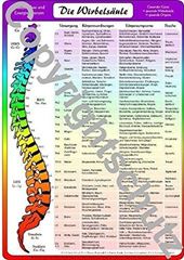 Picture of Wirbelsäulenzonen A4 - Reflexzonenübersicht Lehrtafel