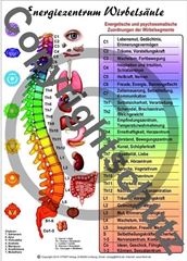 Image de Energiezentrum Wirbelsäule A3 Lehrtafel