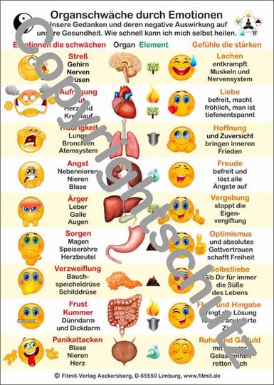 Bild von Organschwäche durch Emotionen A3 Lehrtafel