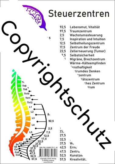 Immagine di Steuerzentren Wirbelsäule A5 Lehrtafel