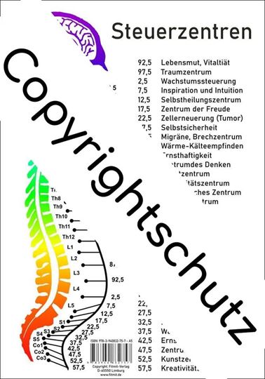 Bild von Steuerzentren Wirbelsäule A4 Lehrtafel