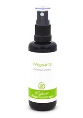 Picture of Allgäuer Blütenessenz Wegwarte 50 ml