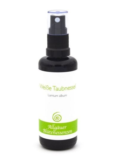 Bild von Allgäuer Blütenessenz Weisse Taubnessel 50 ml