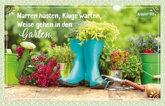 Image sur Narren hasten, Kluge warten, Weise gehenin den Garten