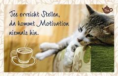 Bild von Tee erreicht Stellen, da kommtMotivation niemals hin