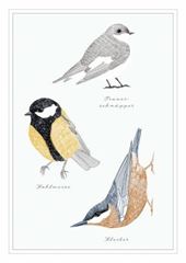 Immagine di Postkarte. Vögel 10 Ex.