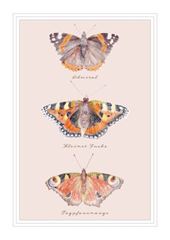 Immagine di Postkarte. Schmetterlinge 10 Ex.