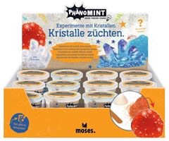 Image de PhänoMINT Kristalle züchten, VE-12