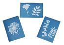 Bild von Expedition Natur Blatt-und Blütenpresse mit Sonnendruckpapier, VE-3