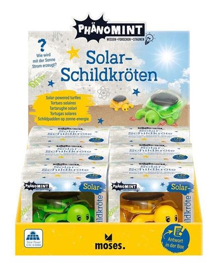 Immagine di PhänoMINT Solar-Schildkröte, VE-6