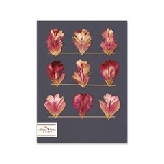 Image de Blackbook Tulipes