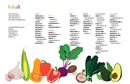 Bild von Zaslavsky A: Colors of Greens – Die neueGemüseküche