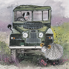 Bild von ON THE MOORS