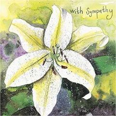 Bild von LILY