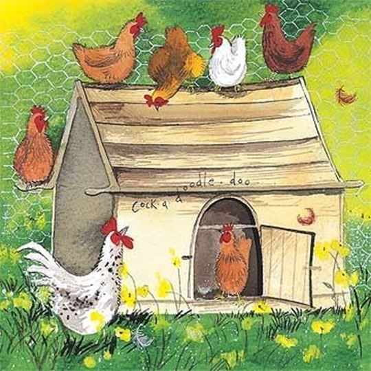 Bild von CHICKEN COOP