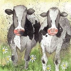 Picture of CURIOUS COWS