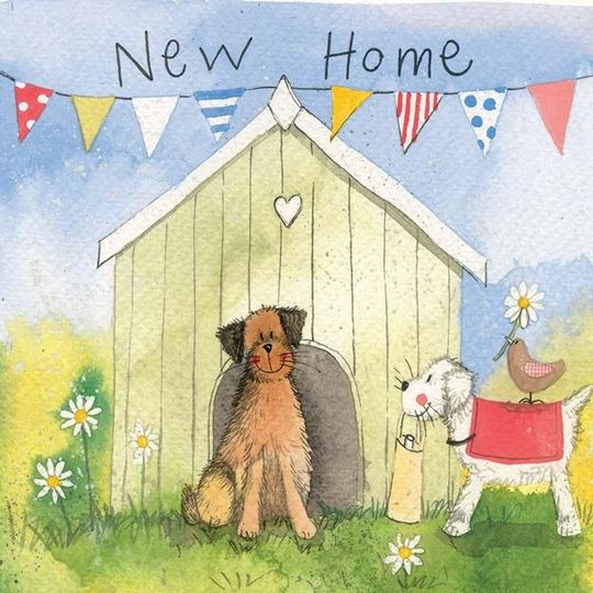 Picture of DOG HOUSE