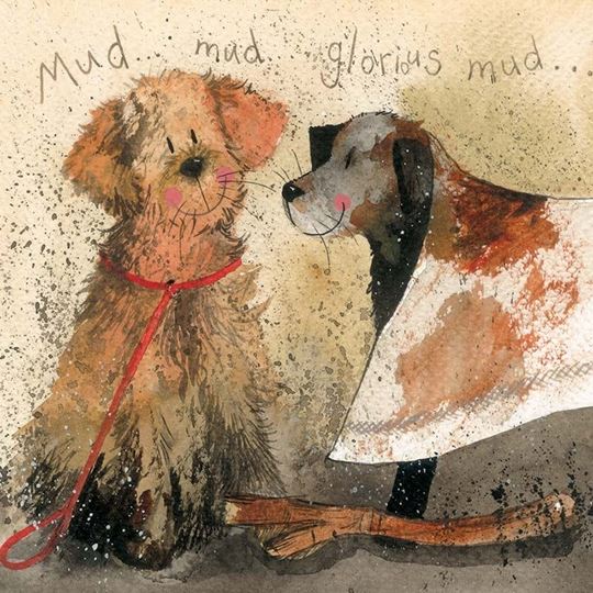 Picture of MUD