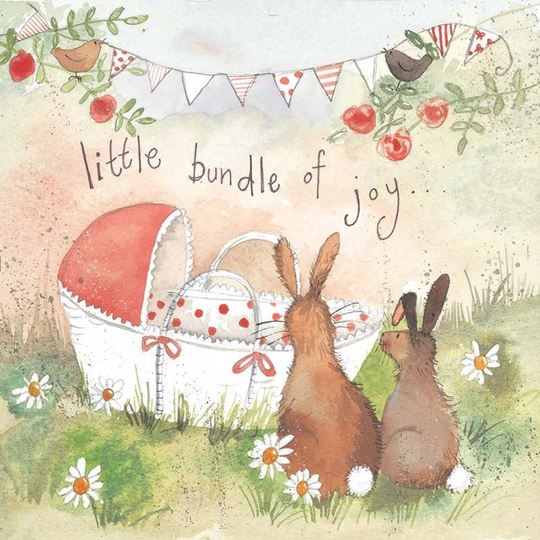 Bild von BUNDLE OF JOY BABY GIRL CARD