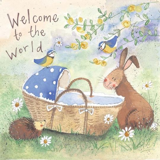 Image sur WELCOME TO THE WORLD BABY BOY CARD