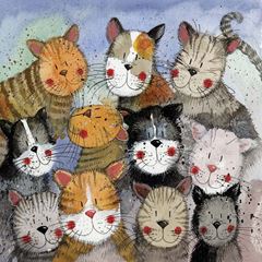 Image de CAT'S CHOIR BLANK CARD