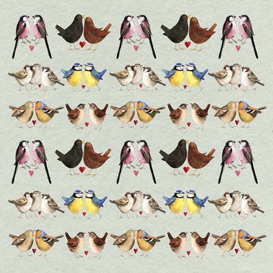 Picture of BRILLIANT BIRDS BLANK CARD