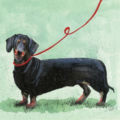 Picture of DACHSHUND BLANK CARD